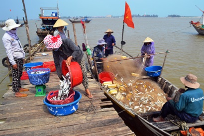 Năm 2017 được mùa cá, tôm