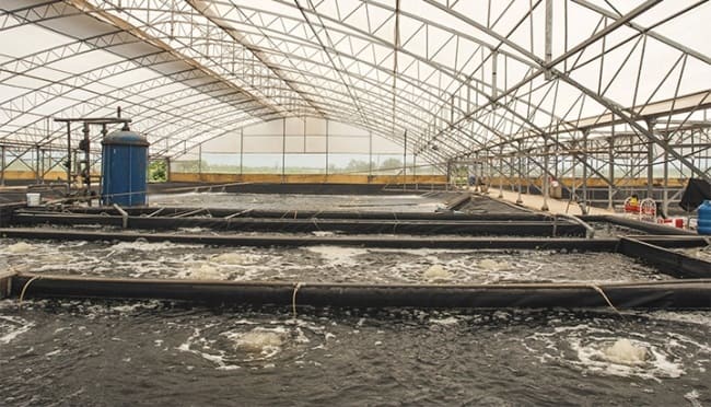 Phó Thủ tướng ký quyết định phê duyệt Đề án phát triển nông nghiệp hữu cơ