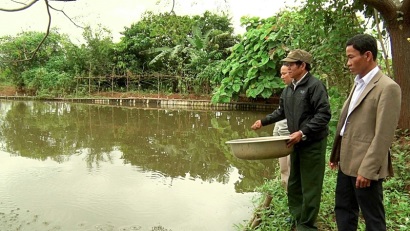 Quảng Trị: Hiệu quả từ mô hình nuôi cá nước ngọt ở A Xing