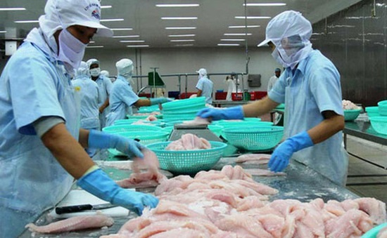 An Giang: Gỡ khó cho thủy sản