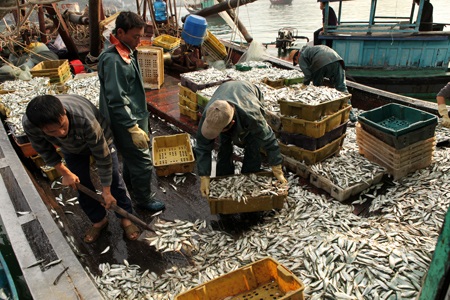 Tăng cường quản lý chất lượng thủy sản xuất khẩu