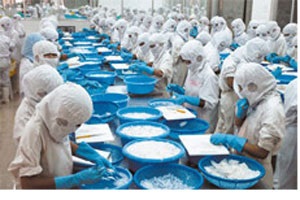 Thủy sản số 4 (TS4) lấy ý kiến cổ đông để hủy niêm yết cổ phiếu