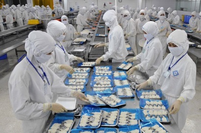 Xuất khẩu tôm quý II/2018 chững do giá tôm giảm