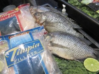 Mỹ: Cá rô phi có thể biến mất do mức thuế Trump áp lên thủy sản Trung Quốc