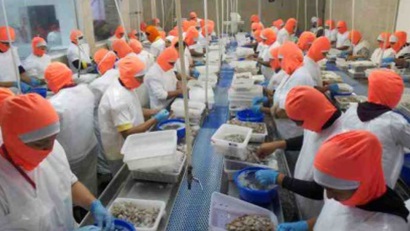 Ecuador: Xuất khẩu tôm đạt mức cao kỷ lục trong 5 tháng đầu năm nay