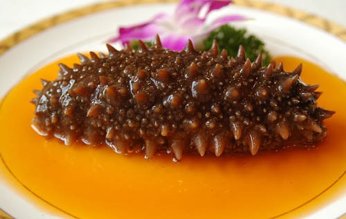 Nhu cầu hải sâm ở Trung Quốc vượt xa nguồn cung 