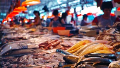 Thái Lan: CP Foods hướng đến ngừng sử dụng sản phẩm IUU trong chuỗi cung ứng vào năm 2020