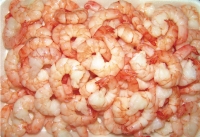 CUULONG SEAPRO: Báo cáo tài chính năm 2011