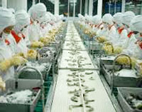 MINH PHU SEAFOOD CORP: chuẩn bị cho đợt phát hành