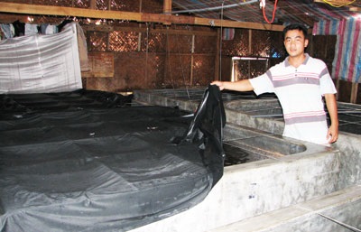 Toàn tỉnh có 174 cơ sở sản xuất tôm giống