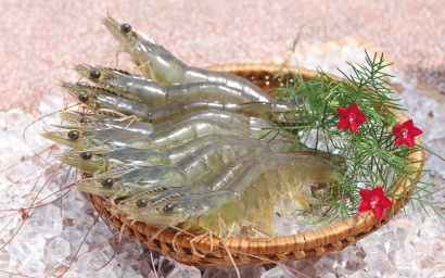 Mỹ nhập khẩu 6,5 tỷ USD tôm năm 2017