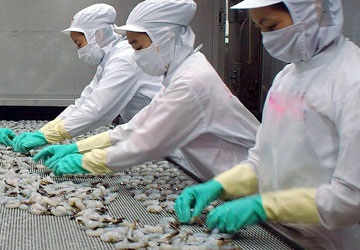 Đẩy mạnh khai thác thị trường tại châu Phi: Hướng đi mới hỗ trợ doanh nghiệp xuất khẩu