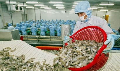 Cách nào để con tôm xuất được 10 tỷ USD?