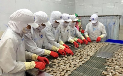 Chiến tranh thương mại Mỹ - Trung: Cơ hội và thách thức cho tôm Việt Nam