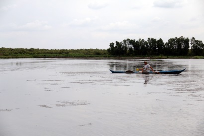 Kiên Giang: Giải pháp phát triển bền vững mô hình lúa – tôm