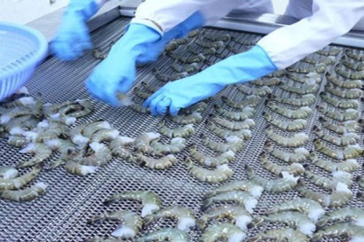 Mỹ: Nhập khẩu tôm có thể vượt 6 tỷ USD năm 2017