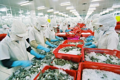 Cà Mau phấn đấu kim ngạch xuất khẩu tôm đạt 2 tỷ USD vào năm 2020