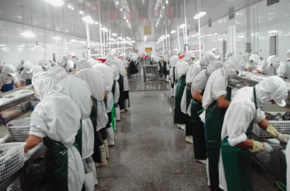 Công ty chế biến cá rô phi lớn nhất Trung Quốc giảm số nhà máy