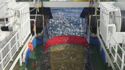 Cuộc chiến chống khai thác IUU nghĩa là giám sát các tàu trong thời gian thực