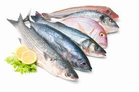 Na Uy: Xuất khẩu thủy sản tăng 28% trong tháng 5/2016