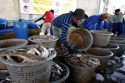 Thái Lan yêu cầu Hiệp hội Anfaco hỗ trợ để giữ thị trường EU