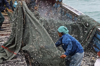 Philippines tham gia chương trình chống khai thác IUU của Mỹ 