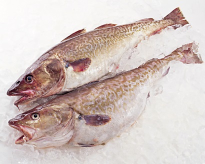 Ba Lan: Xuất khẩu cá tuyết cod, cá hồi, cá trích tăng