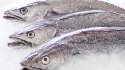 Sản lượng cá tuyết hake tại quần đảo Falkland tăng vọt