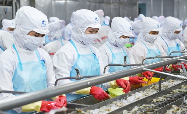 Xuất khẩu tôm sang EU: Kỳ vọng từ EVFTA