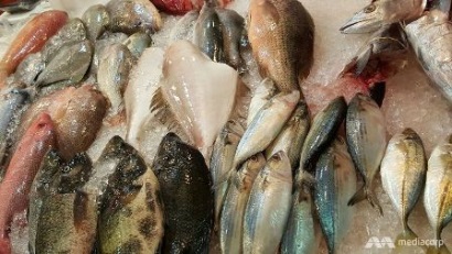 WWF: 75% thủy sản ở Singapore được khai thác không bền vững