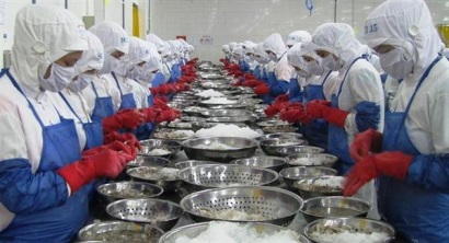 Bộ Y tế: Chỉ kiểm tra DN sản xuất muối I-ốt