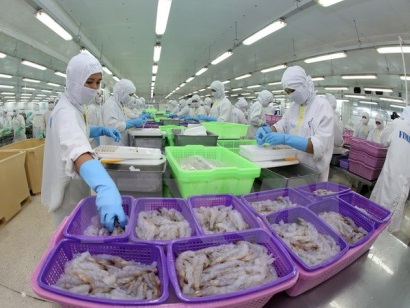 Nhập khẩu tôm vào Nhật Bản tăng