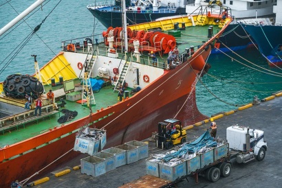 Ngành cá ngừ Ecuador yêu cầu Chính phủ hỗ trợ để tăng tính cạnh tranh