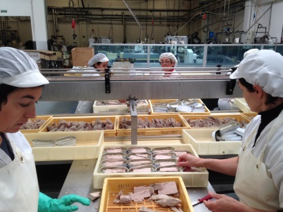 ANFACO khuyến nghị EU tránh FTA với Thái Lan