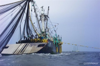 WCPFC, IATTC nên ngăn chặn IUU ở các vùng biển phía đông