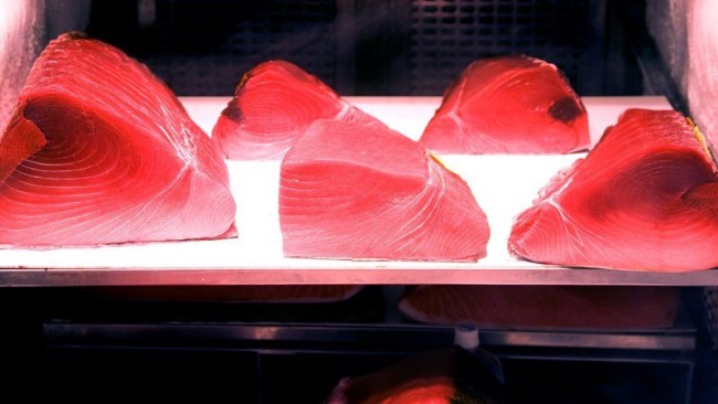 Các nhà chế biến cá ngừ EU không thể cạnh tranh về giá