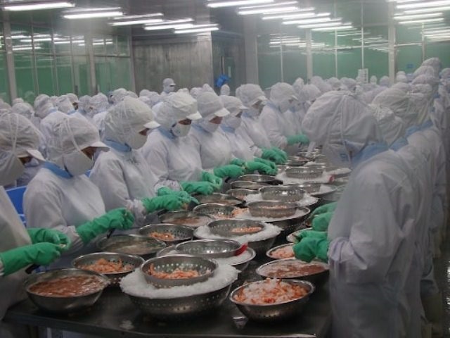 VASEP kiến nghị Tổng cục Thuế xem xét bất cập trong áp thuế hàng thủy sản “chế biến” thành “sơ chế”