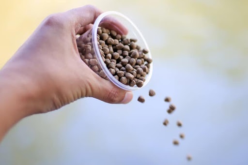 Tiêu chuẩn nhà máy thức ăn BAP mới tăng tiêu chuẩn thành phần thức ăn từ biển