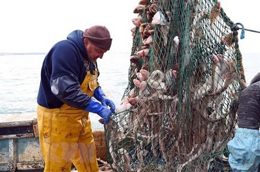 Phân bổ hạn ngạch, TAC của châu Âu bị đình trệ do đàm phán Brexit