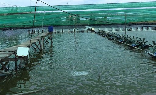 Cảm nhận qua một hội nghị khách hàng