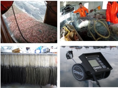 Tầm quan trọng của các chính sách trong chuỗi giá trị thủy sản 