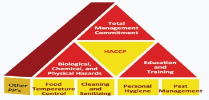 29-30/6/2019 - [HCM] Khóa đào tạo "HACCP thực hành trong Doanh nghiệp Chế biến Thủy sản"
