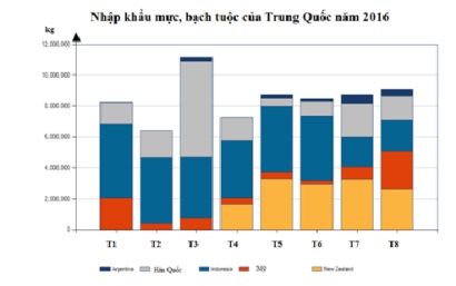 Xuất khẩu mực bạch tuộc sang Trung Quốc tăng mạnh trong tháng 11/2016