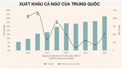Xuất khẩu cá ngừ của Trung Quốc vượt mức 100.000 tấn