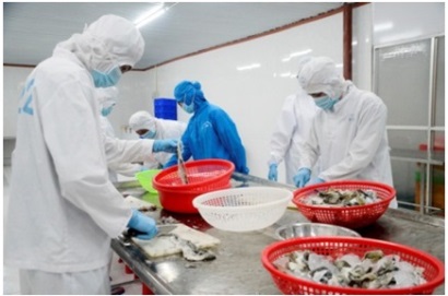 Thị trường "mê mệt" vì những sản phẩm thủy sản tưởng đã bỏ đi