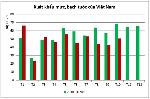 Xuất khẩu mực, bạch tuộc tiếp tục giảm trong tháng 10 năm nay