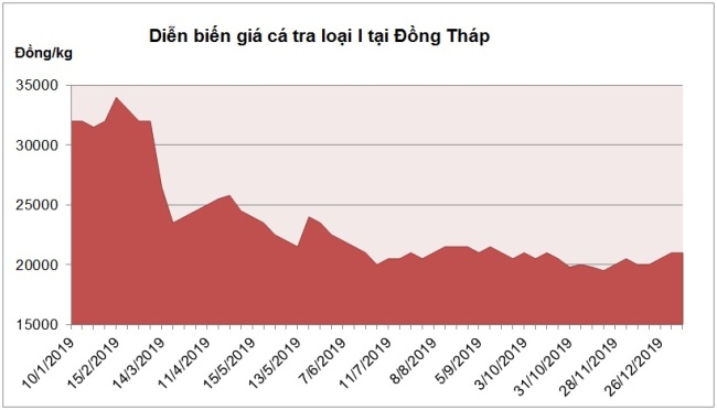 Giá cá tra tại ĐBSCL có thể tăng dần sau dịch bệnh nCoV