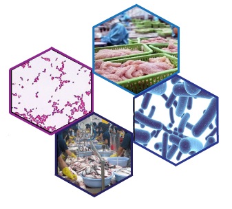 29/4/2017 - [Cần Thơ] Khóa đào tạo: Kiểm soát Listeria monocytogenes trong nhà máy chế biến cá tra phile