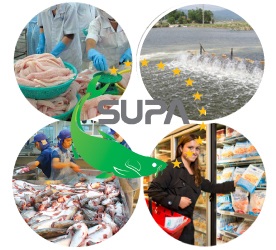 Hội thảo “Rà soát đánh giá kết quả dự án”