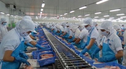 Vinh Hoan Corp: Cần tăng cường truyền thông cho cá tra 